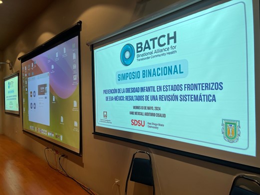 BATCH research presentation at a conference